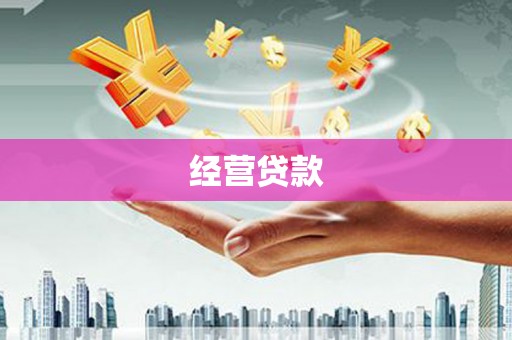 望谟经营贷款