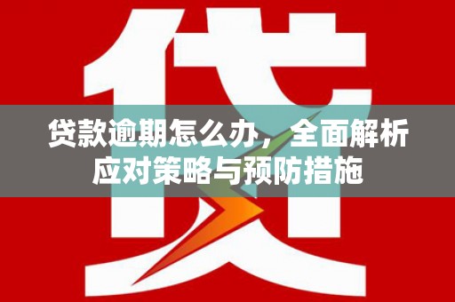 望谟贷款逾期怎么办，全面解析应对策略与预防措施