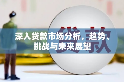 望谟深入贷款市场分析，趋势、挑战与未来展望