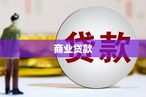 望谟商业贷款
