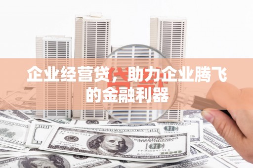 望谟企业经营贷，助力企业腾飞的金融利器