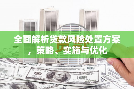 望谟全面解析贷款风险处置方案，策略、实施与优化