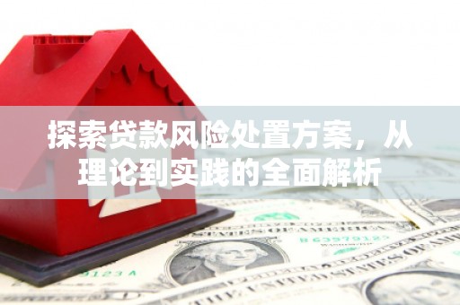 望谟探索贷款风险处置方案，从理论到实践的全面解析