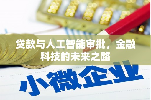 望谟贷款与人工智能审批，金融科技的未来之路