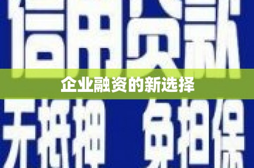 望谟企业融资的新选择