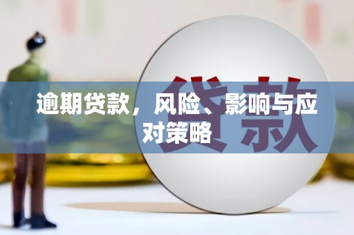 望谟逾期贷款，风险、影响与应对策略