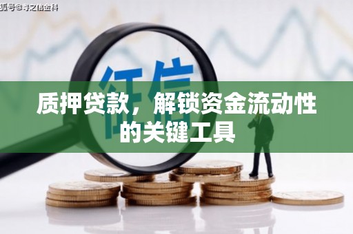 望谟质押贷款，解锁资金流动性的关键工具