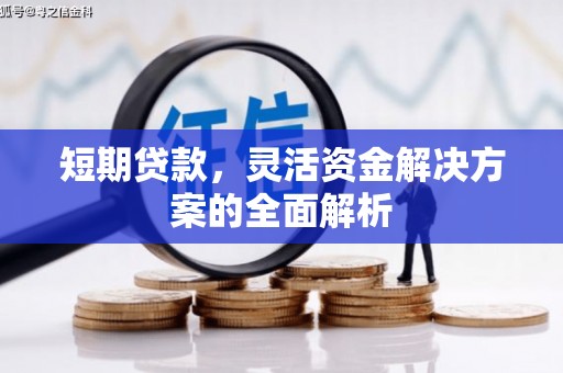 望谟短期贷款，灵活资金解决方案的全面解析