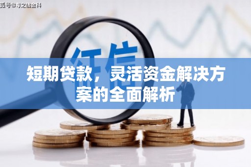 望谟短期贷款，灵活资金解决方案的全面解析