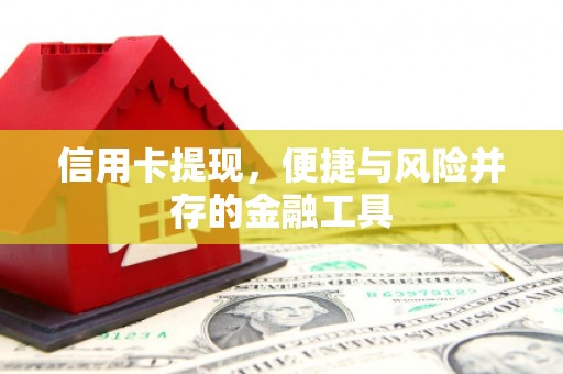 望谟信用卡提现，便捷与风险并存的金融工具