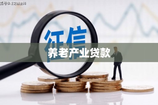 望谟养老产业贷款