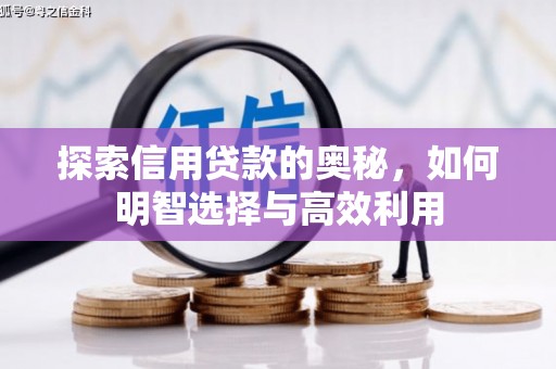 望谟探索信用贷款的奥秘，如何明智选择与高效利用