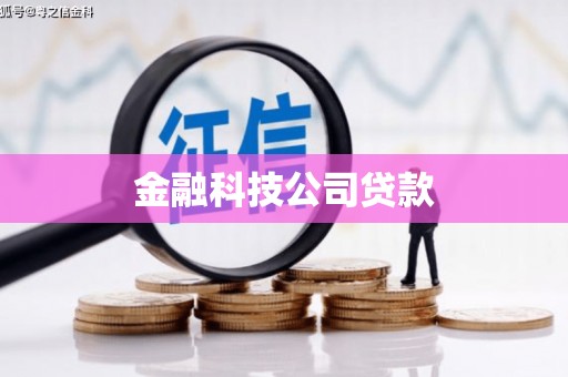 望谟金融科技公司贷款