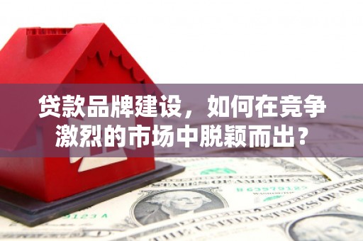 望谟贷款品牌建设，如何在竞争激烈的市场中脱颖而出？