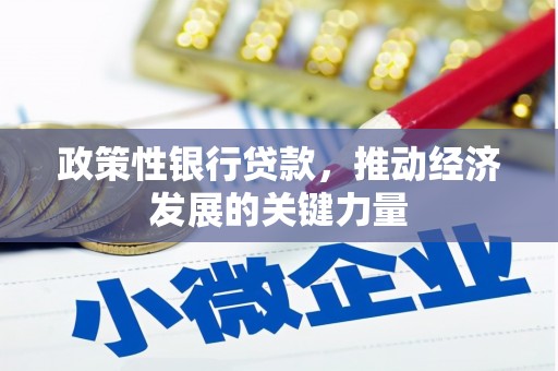 望谟政策性银行贷款，推动经济发展的关键力量