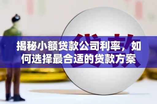 望谟揭秘小额贷款公司利率，如何选择最合适的贷款方案