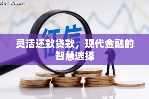 望谟灵活还款贷款，现代金融的智慧选择
