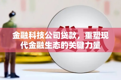 望谟金融科技公司贷款，重塑现代金融生态的关键力量