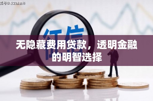 望谟无隐藏费用贷款，透明金融的明智选择