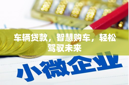 望谟车辆贷款，智慧购车，轻松驾驭未来
