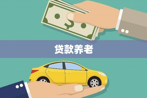 望谟贷款养老