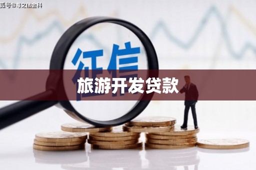 望谟旅游开发贷款