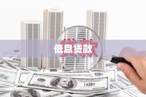 望谟低息贷款