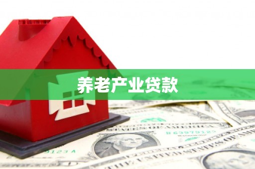 望谟养老产业贷款