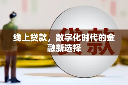 望谟线上贷款，数字化时代的金融新选择