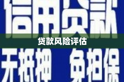 望谟贷款风险评估