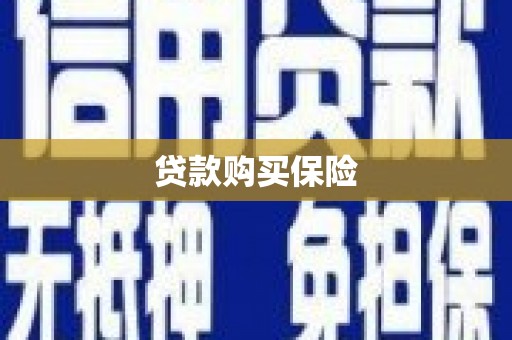望谟贷款购买保险