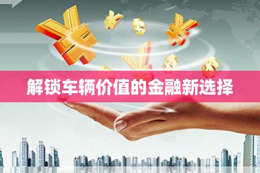 望谟解锁车辆价值的金融新选择