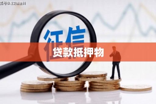 望谟贷款抵押物