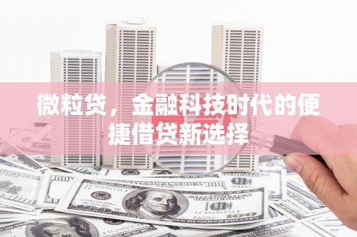 望谟微粒贷，金融科技时代的便捷借贷新选择