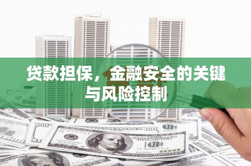 望谟贷款担保，金融安全的关键与风险控制
