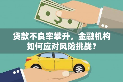 望谟贷款不良率攀升，金融机构如何应对风险挑战？