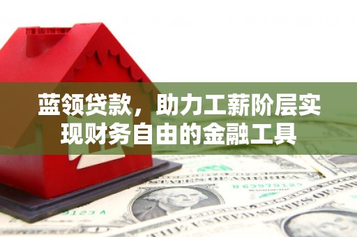 望谟蓝领贷款，助力工薪阶层实现财务自由的金融工具