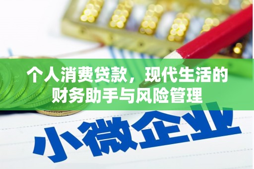 望谟个人消费贷款，现代生活的财务助手与风险管理