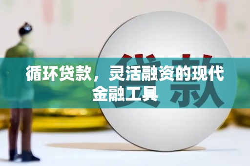 望谟循环贷款，灵活融资的现代金融工具