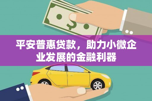 望谟平安普惠贷款，助力小微企业发展的金融利器