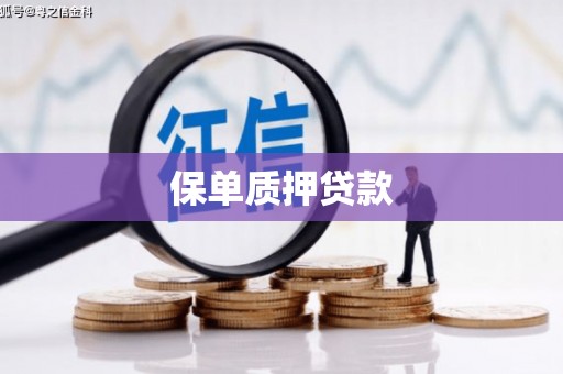 望谟保单质押贷款