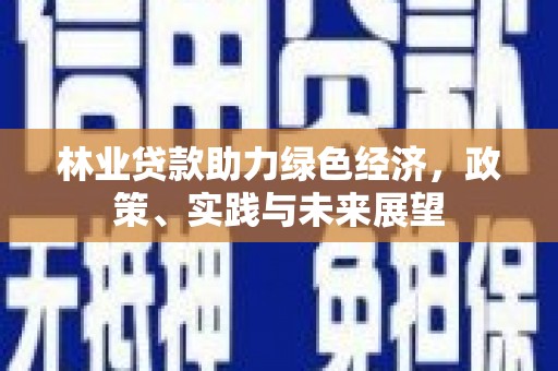 望谟林业贷款助力绿色经济，政策、实践与未来展望
