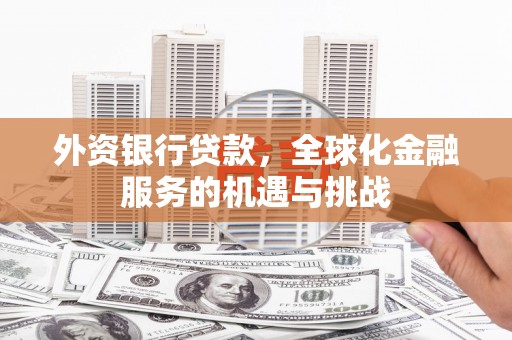 望谟外资银行贷款，全球化金融服务的机遇与挑战