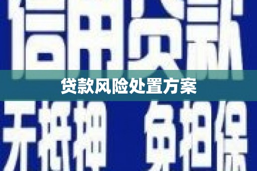 望谟贷款风险处置方案