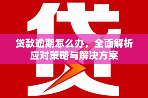 望谟贷款逾期怎么办，全面解析应对策略与解决方案