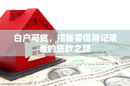 望谟白户可贷，揭秘零信用记录者的贷款之路