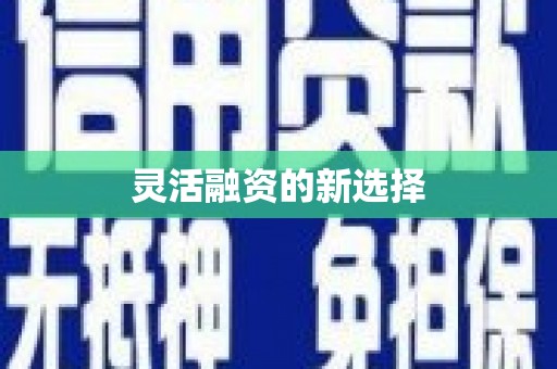 望谟灵活融资的新选择