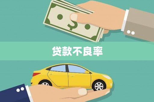 望谟贷款不良率