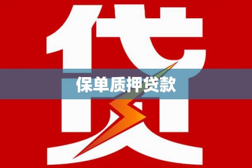 望谟保单质押贷款