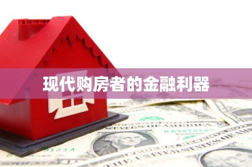 望谟现代购房者的金融利器